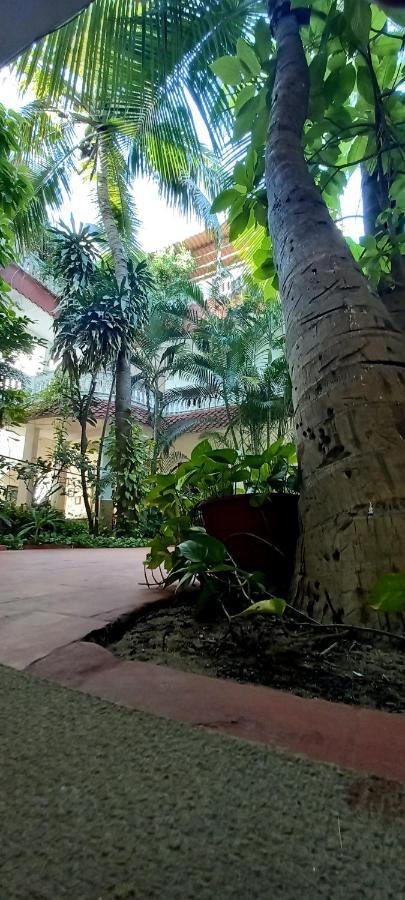 Daphne Hotel Mahabalipuram Exterior photo