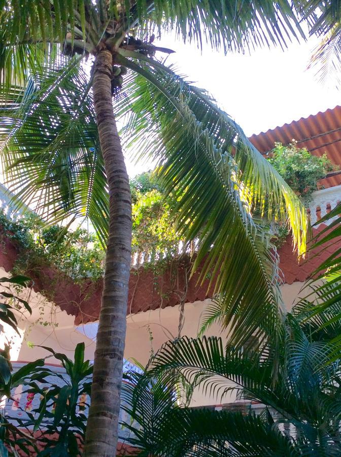 Daphne Hotel Mahabalipuram Exterior photo